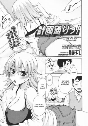 [Unagimaru] Keikaku Doori!! (COMIC Megastore 2009-07) [English] [CGRascal] - Page 1