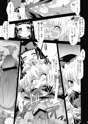 (C76) [IncluDe (Foolest)] Saimin Ihen Ichi - BRIGHTNESS DARKNESS ANOTHER (Touhou Project) - Page 24