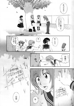 (C62) [OtakuLife JAPAN (Senke Kagero)] Sugoiyo!! Kasumi-chan 3 ~Double Complex~ (Dead or Alive) - Page 12