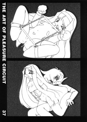 [ISF] The Art of Pleasure Circuit - Page 38