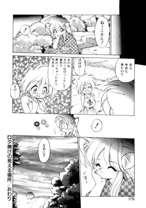 [Ebi Fly] Mainichi ga Wonderland - Page 173