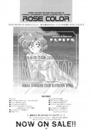 (C59) [Rose Water (Haruka Ayanokouji)] Rose Water 12 Rosette (Bishoujo Senshi Sailor Moon) - Page 44