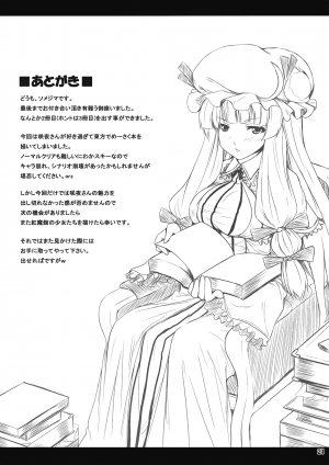 (C76) [Nounai Ekijiru (somejima)] Maid in China (Touhou Project) [English] [desudesu] - Page 21