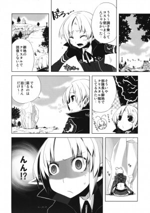 (C76) [Amakasas, dicca (psohatten, Sumietsu Dicca)] Korizu ni Josou Shounen da! Ute Ute! (Fantasy Earth: Zero) - Page 23