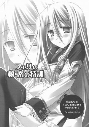 (COMIC1☆3) [Nirvana Soft (HIRONII)] Felli no Hi-Mitsu Tokkun (Chrome Shelled Regios) - Page 3