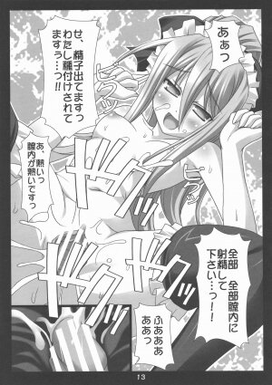 (COMIC1☆3) [Nirvana Soft (HIRONII)] Felli no Hi-Mitsu Tokkun (Chrome Shelled Regios) - Page 13