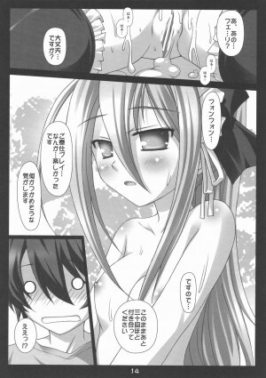 (COMIC1☆3) [Nirvana Soft (HIRONII)] Felli no Hi-Mitsu Tokkun (Chrome Shelled Regios) - Page 14