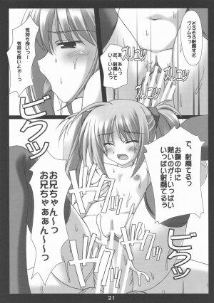 (COMIC1☆3) [Nirvana Soft (HIRONII)] Felli no Hi-Mitsu Tokkun (Chrome Shelled Regios) - Page 21