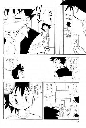 (C73) [Kurikomi (Adachi Himiko)] Beautiful Days (Pokémon) - Page 9