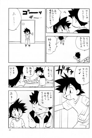 (C73) [Kurikomi (Adachi Himiko)] Beautiful Days (Pokémon) - Page 10