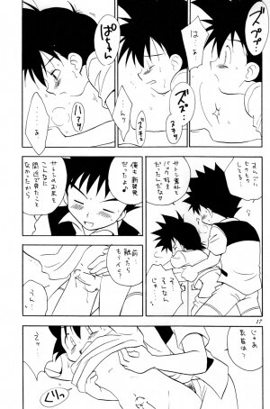 (C73) [Kurikomi (Adachi Himiko)] Beautiful Days (Pokémon) - Page 16