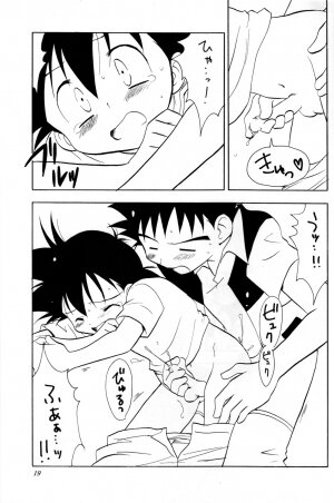 (C73) [Kurikomi (Adachi Himiko)] Beautiful Days (Pokémon) - Page 18