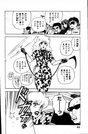 [Yamamoto Atsuji] Dai Kaitou Musashi No 1 - Page 43