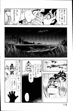 [Yamamoto Atsuji] Dai Kaitou Musashi No 1 - Page 113