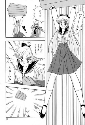 [QUESTION？ (Kumakito Shikazu)] Otohime Miya Vol.8 (Bishoujo Senshi Sailor Moon) - Page 17