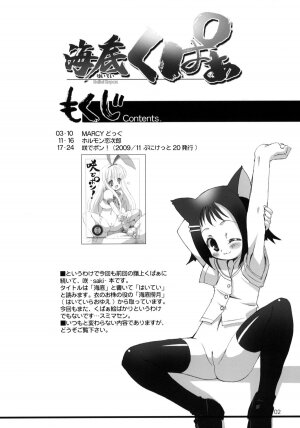 (C77) [Chokudoukan (Hormone Koijirou, Marcy Dog)] Haitei Kupaa (-Saki-) - Page 3