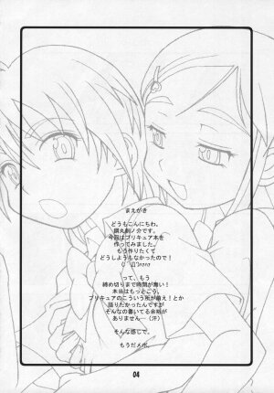 (C66) [Hagane Koubou (Haganemaru Kennosuke)] SECRET DIARY (Futari wa Precure) - Page 3