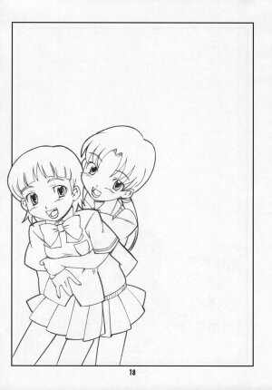 (C66) [Hagane Koubou (Haganemaru Kennosuke)] SECRET DIARY (Futari wa Precure) - Page 17