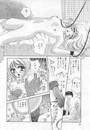 [Sakuya Shion]Watashi wo nikudorei ni shitekudasai (PLEASE HURT ME, AS A SLAVE....) - Page 30