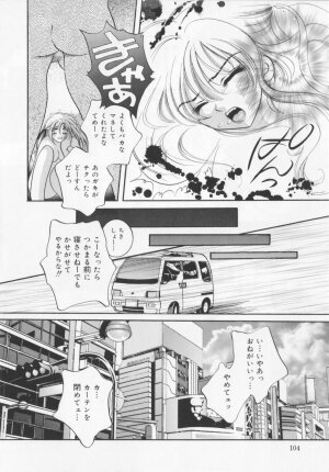[Sakuya Shion]Watashi wo nikudorei ni shitekudasai (PLEASE HURT ME, AS A SLAVE....) - Page 106