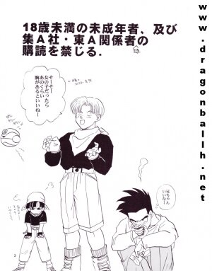 [Shouji Hariko] ZZ (Dragonball Z) - Page 3