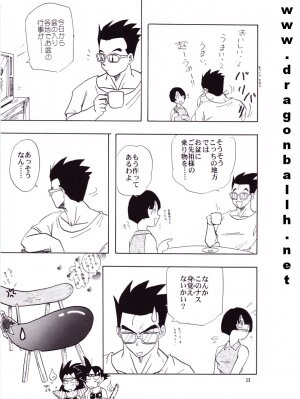 [Shouji Hariko] ZZ (Dragonball Z) - Page 21
