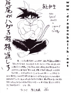 [Shouji Hariko] ZZ (Dragonball Z) - Page 41