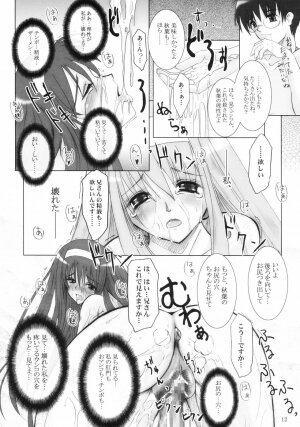 (C66) [Garyuu-Chitai (TANA)] Love Maniac Love (Tsukihime) - Page 11