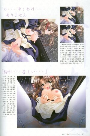 [CARNELIAN] Kao no Nai Tsuki Visual Fanbook (Kao no Nai Tsuki / Moonlight Lady) - Page 30