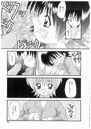 [Kawamoto Yoshiki] Awahime Rhapsody - Page 33