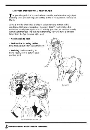 (C83) [Hyakki Yakou (Z-ton)] Centaur Musume de Manabu Hajimete no Thoroughbred | Learning With Centaur Girls: Introduction To The Thoroughbred [English] [4dawgz + Thetsuuyaku] - Page 11