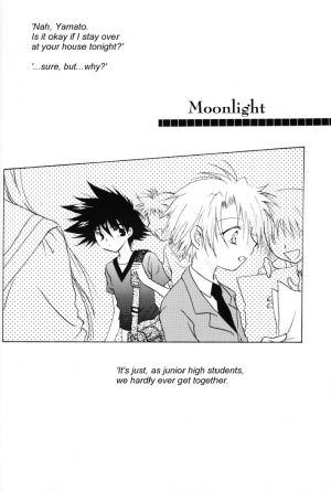 (SUPERKansai8) [SECTION E (Hirose Yukiya)] SUNSHINE and MOONLIGHT (Digimon Adventure 02) - Page 32