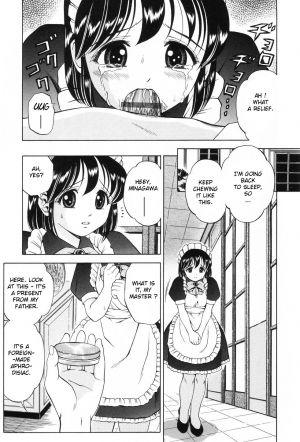  [Atori K] Watashi wa Maid - I am a maid Ch. 1-3 [English] [biribiri + desudesu]  - Page 27