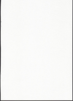(C95) [Hiroi Heya (GakuGaku)] Tsukaisute Tissue [English] - Page 3