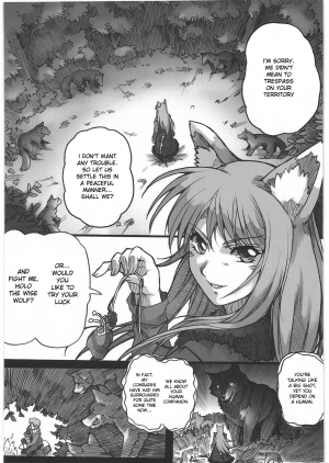 (C76) [Kacchuu Musume (Hisahiko, Shimamoto Harumi)] Smalt Leather (Spice and Wolf) [English] [desudesu] - Page 29