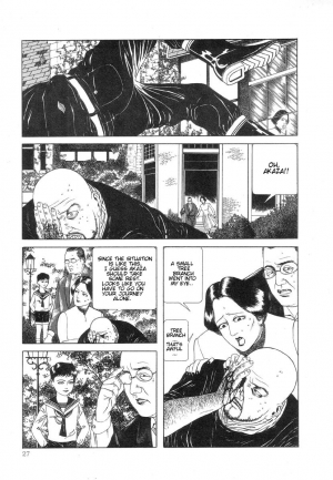 [Suehiro Maruo] Rose Colored Monster (Complete)[English] - Page 34