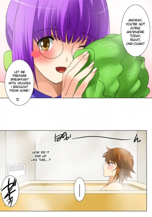 [Qoopie] Imouto Haramikeshon [English][DesuDesu] - Page 17