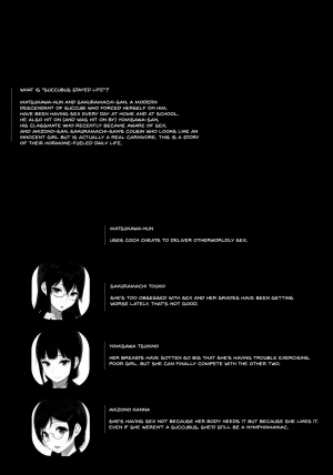 (C92) [NANIMOSHINAI (Sasamori Tomoe)] Succubus Stayed Life 6 [English] {doujins.com} - Page 4