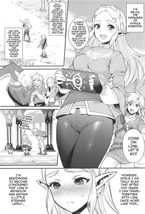 (C93) [Morittokoke (Morikoke)] Hyrule Hanei no Tame no Katsudou! | Activities for the Sake of Hyrule’s Future! (The Legend of Zelda) [English] {darknight} - Page 5