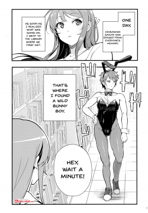 (C95) [Kayoudou (Matsuka)] Bunny Lovers (Seishun Buta Yarou wa Bunny Girl Senpai no Yume o Minai) [English] [Doujins.com] - Page 4