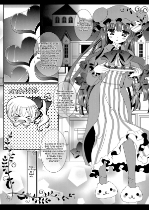 (Tengu-sama no Oshigoto 4) [Setoran (Itou Seto, Tanno Ran)] CHOCO CHOCO (Touhou Project) [English] - Page 5