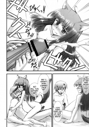 (Mimiket 18) [Wiz's Studio (Tooyama Hirohito)] Ookami no Amai Mitsu | The Wolf's Sweet Nectar (Spice and Wolf) [English] [N04h] - Page 13