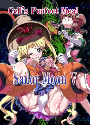  Sailor Moon V 