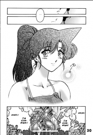 (C69) [Sunset Dreamer (Chachaki Noriyuki)] Dare no Tame Demo Nai Yokubou (Detective Conan) [English] {rookie84} - Page 29