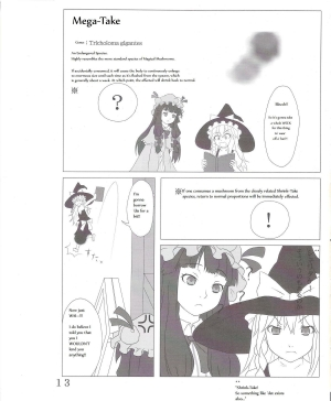 [106m] Chou Dokyu Mahou Sho-jo [Touhou][ENG] - Page 15