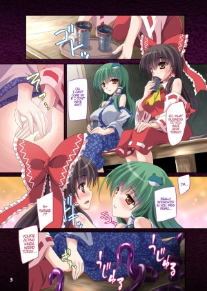 [Reverse Noise (Yamu)] Hakurei Breeder ~Kazehouri~ (Touhou Project) [English] [ATF] [Digital] - Page 3