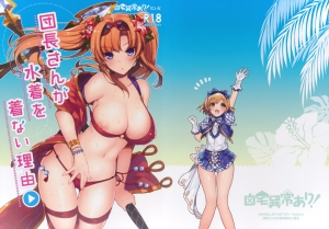 (SC2015 Autumn) [Jitaku Ijouari! (Neet)] Danchou-san ga Mizugi o Kinai Riyuu | The Reason Captain Doesn't Wear a Swimsuit is... (Granblue Fantasy) [English] [ArnasB] - Page 2