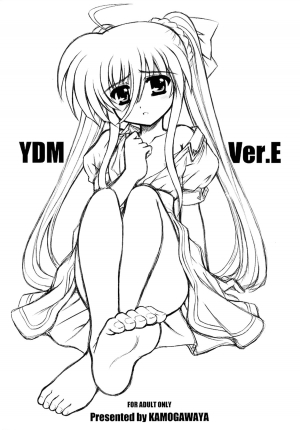 [Kamogawaya (Kamogawa Tanuki)] YDM Ver.E (Mahou Shoujo Lyrical Nanoha) [English]