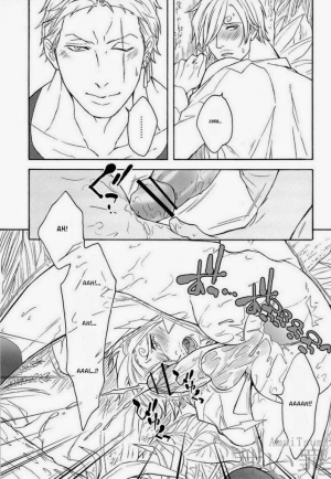 (C84) [Kyozoya (Kunoichi)] DISPLAY FLIGHT (One Piece) [English] - Page 16