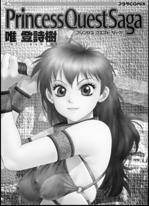 [Yui Toshiki] Princess Quest Saga [English] [SaHa] - Page 4